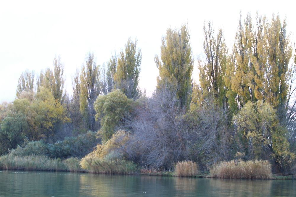 Photograph by Сергей Оплачко