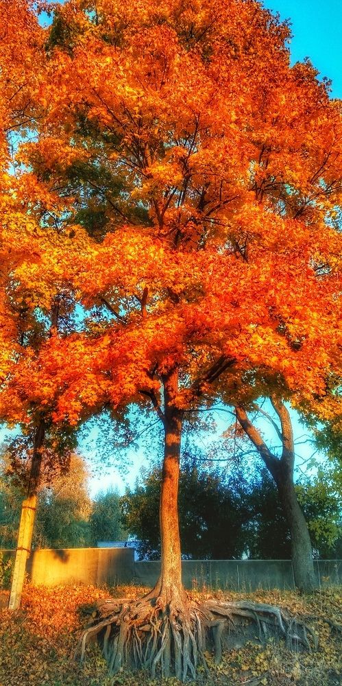 Photograph by Денис Спесивцев