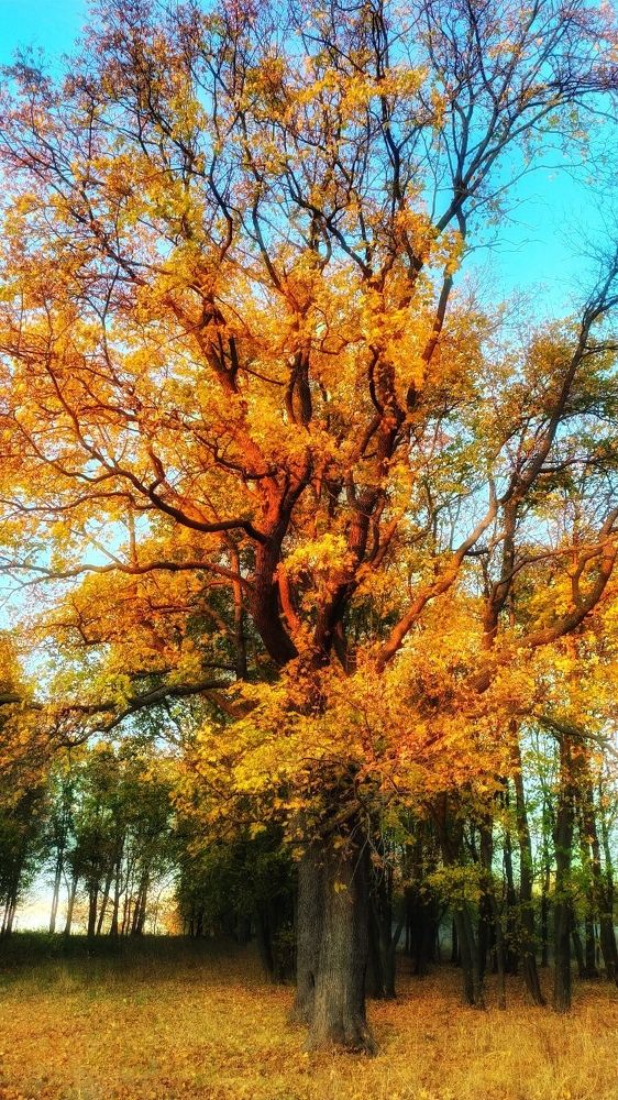 Photograph by Денис Спесивцев