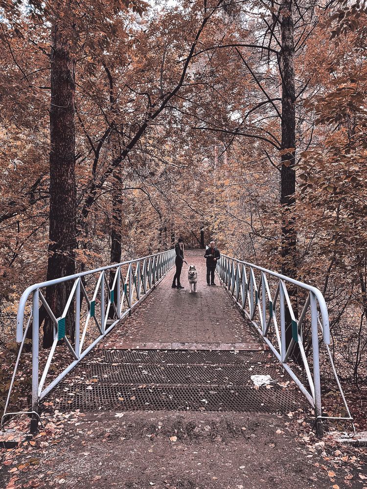 Photograph by Инна Зырянова