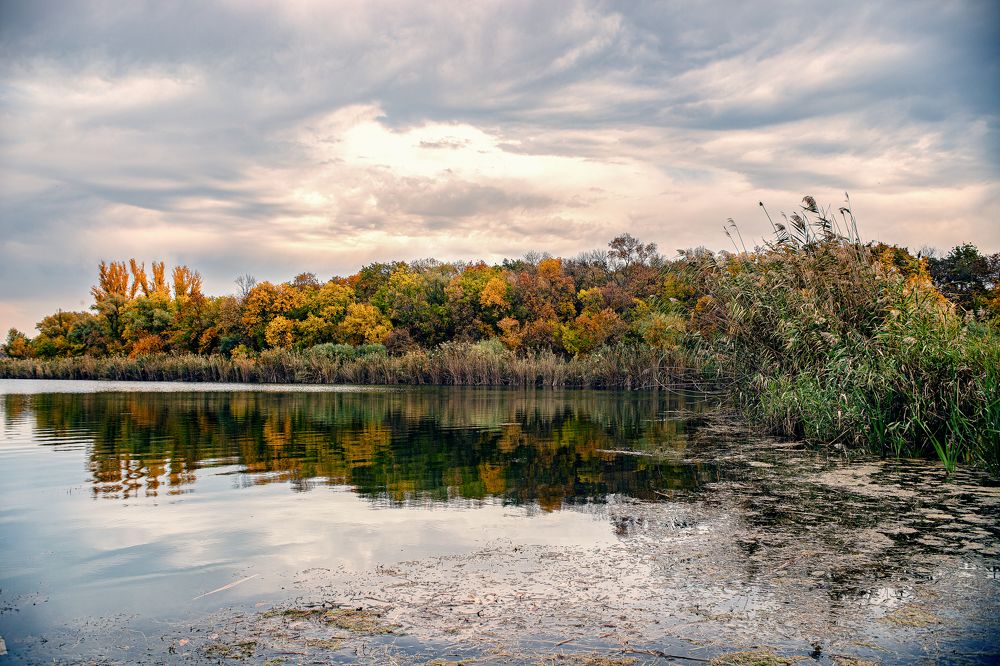 Photograph by Алексей Тимофеев