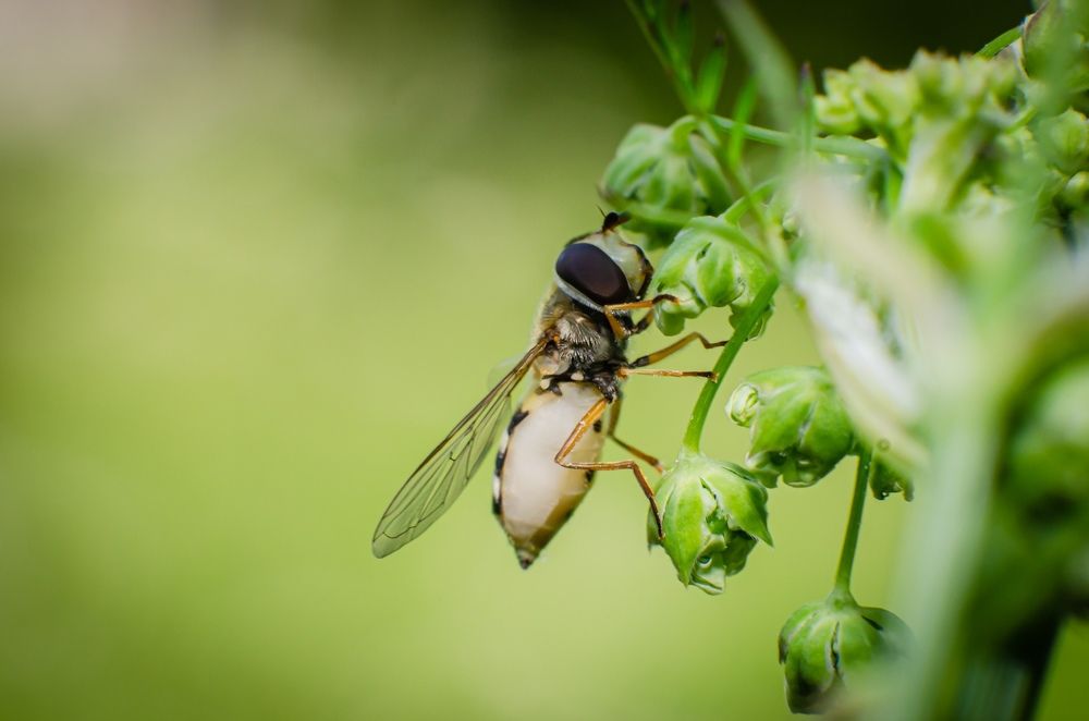 Photograph by Денис Спесивцев
