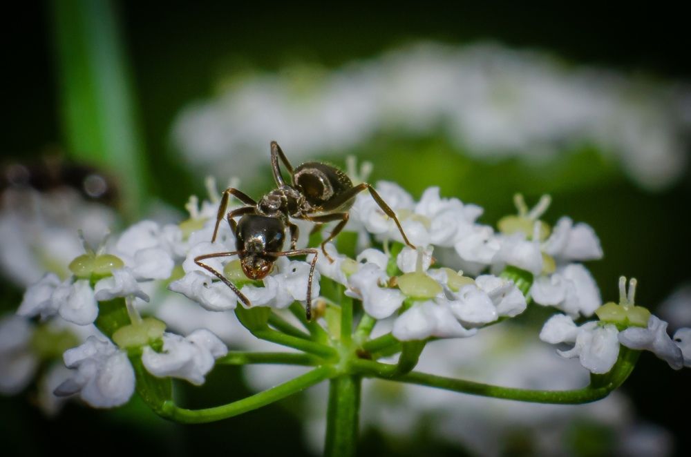 Photograph by Денис Спесивцев