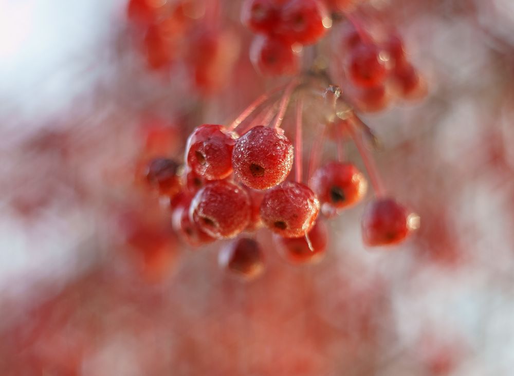 Photograph by Лариса Лофицкая