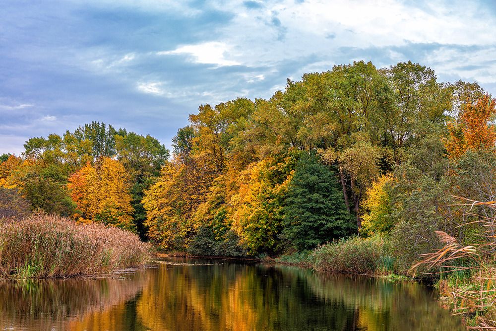 Photograph by Леонид Соболев