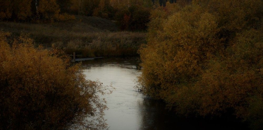 Photograph by Елена Федорова