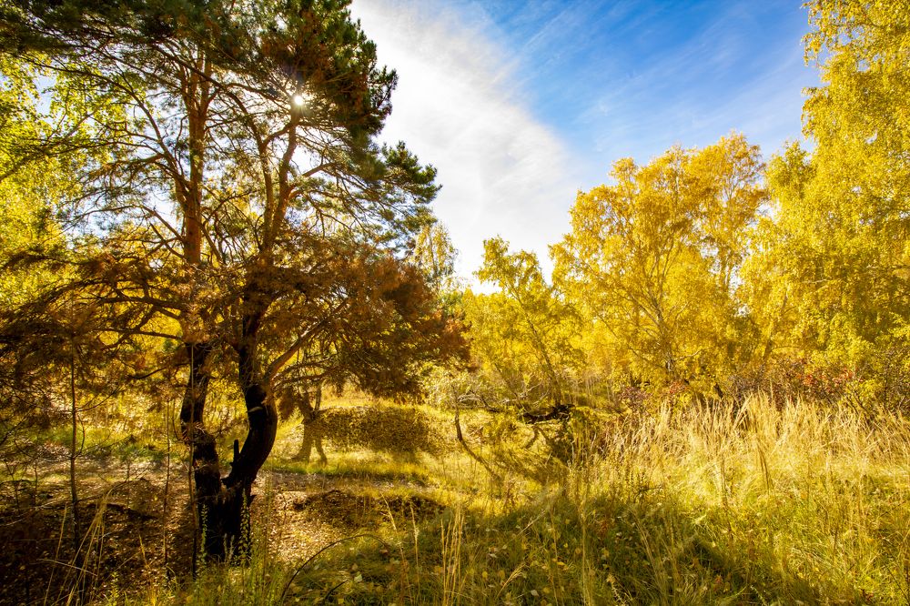 Photograph by Игорь Кутний