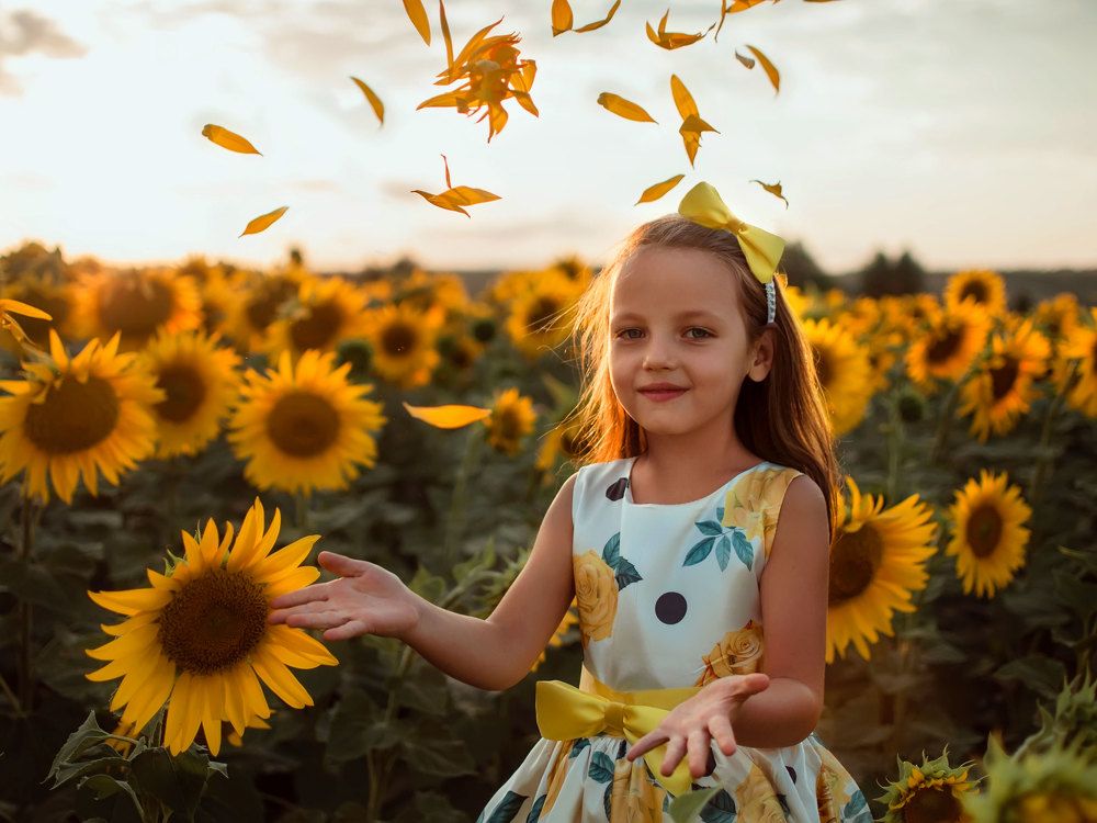 Подсолнухи