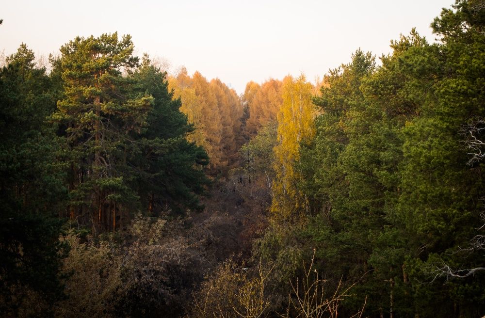 Photograph by Алена Алалыкина