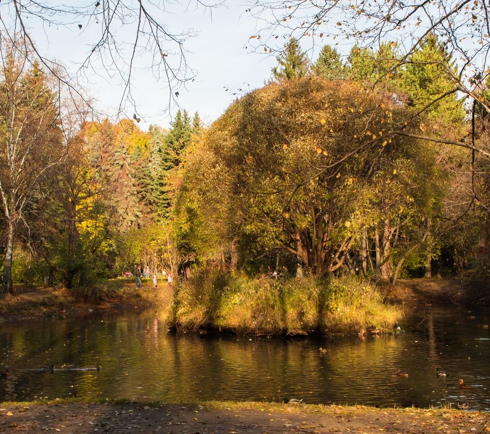 Photograph by Алена Алалыкина