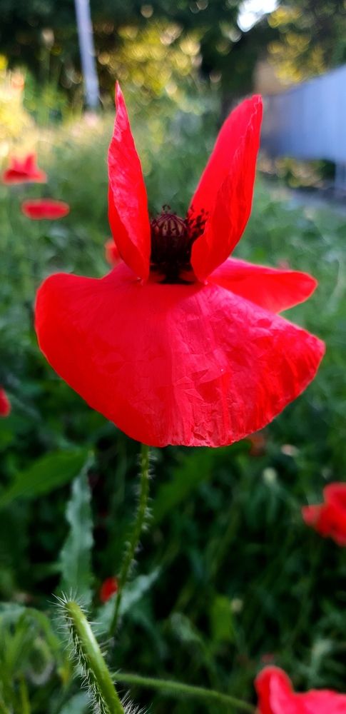 Photograph by Александр