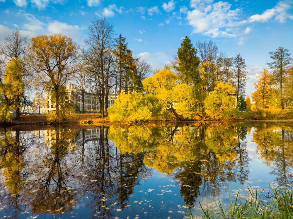 Photograph by Chic.chiquitita