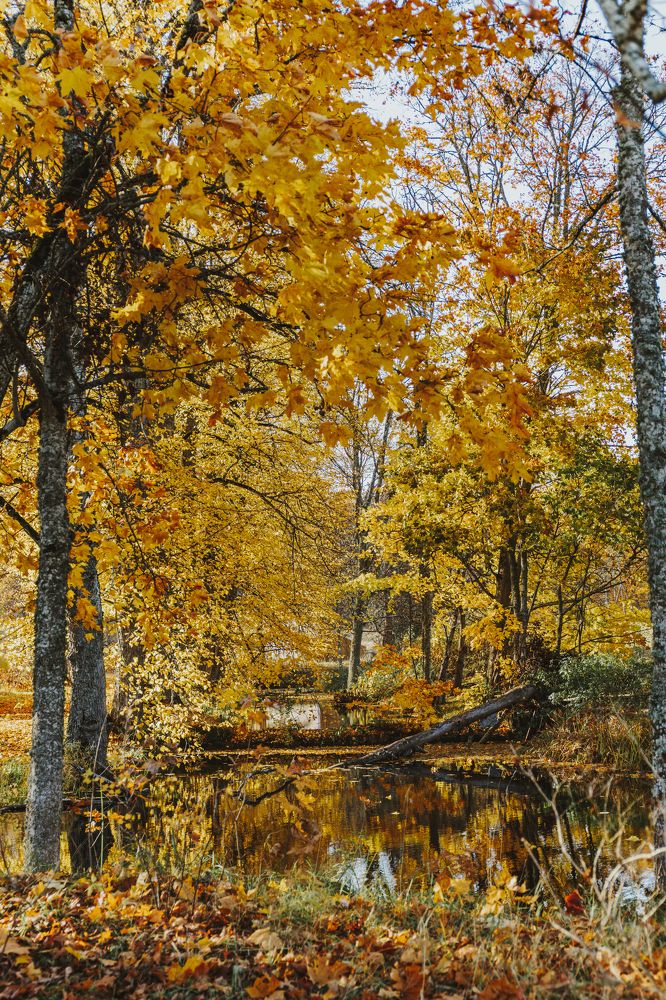 Photograph by Ligita Kluga