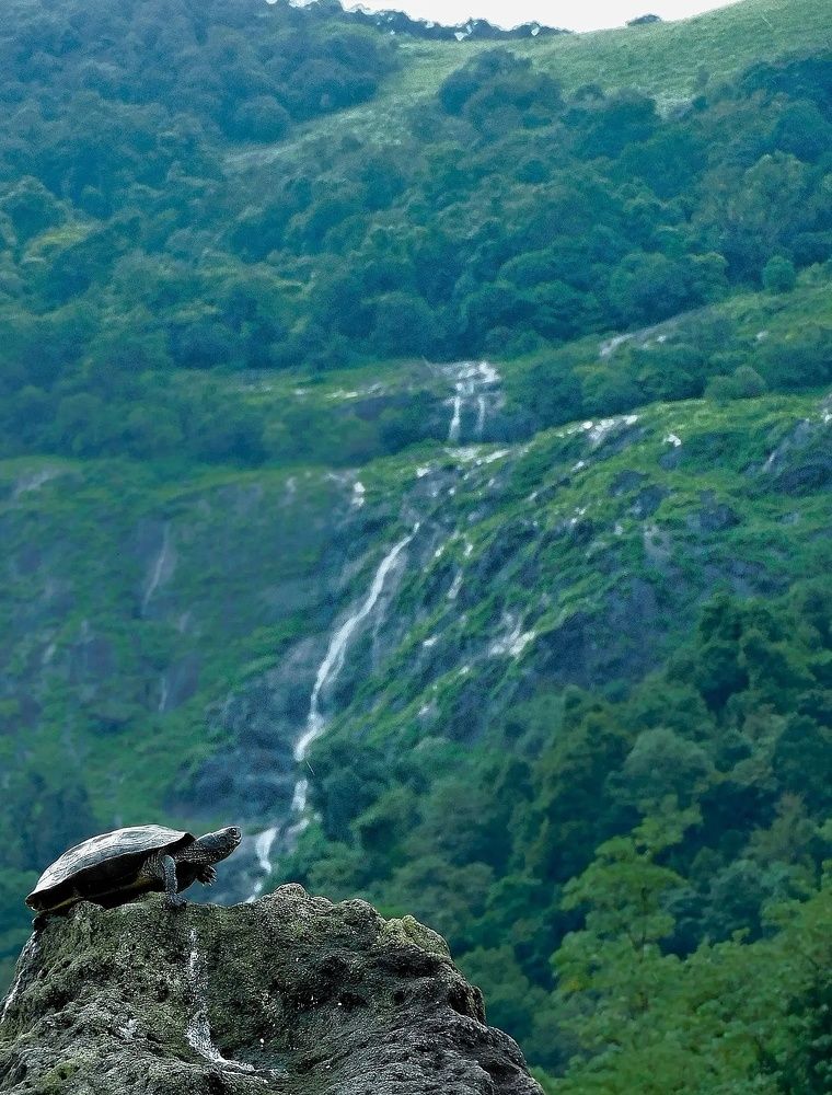 Photograph by Pranav