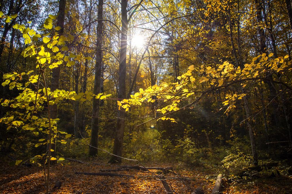 Photograph by Анна Груднева