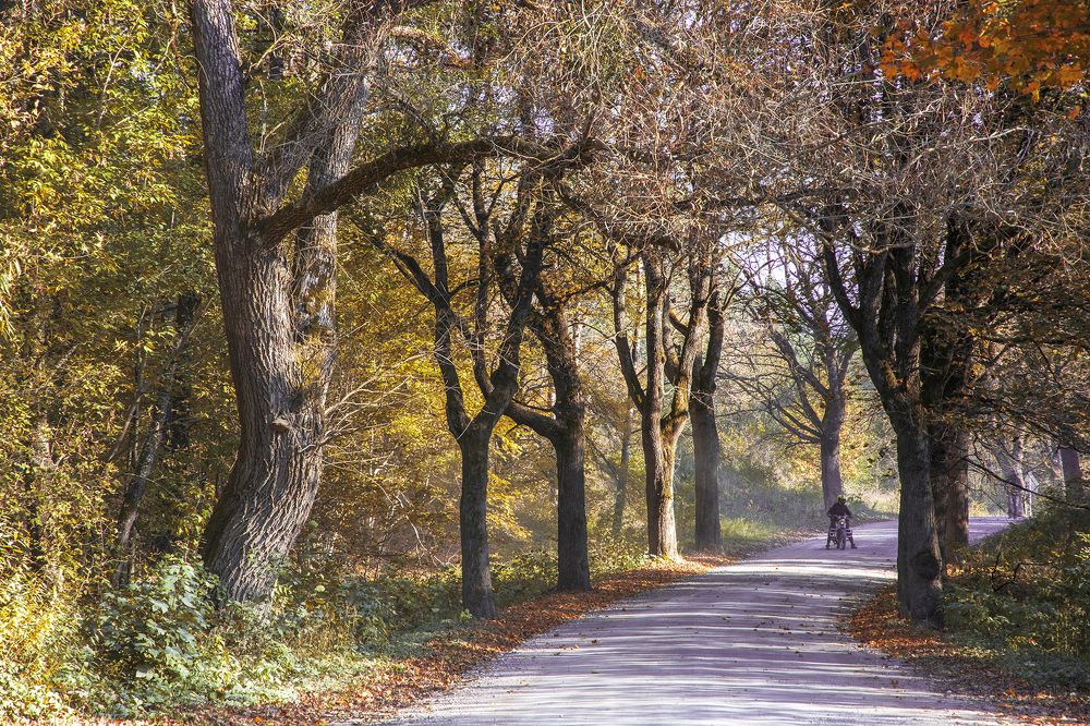 Photograph by Анна Груднева