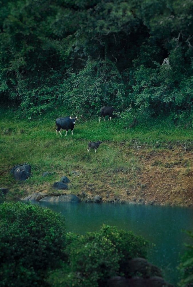 Photograph by Pranav