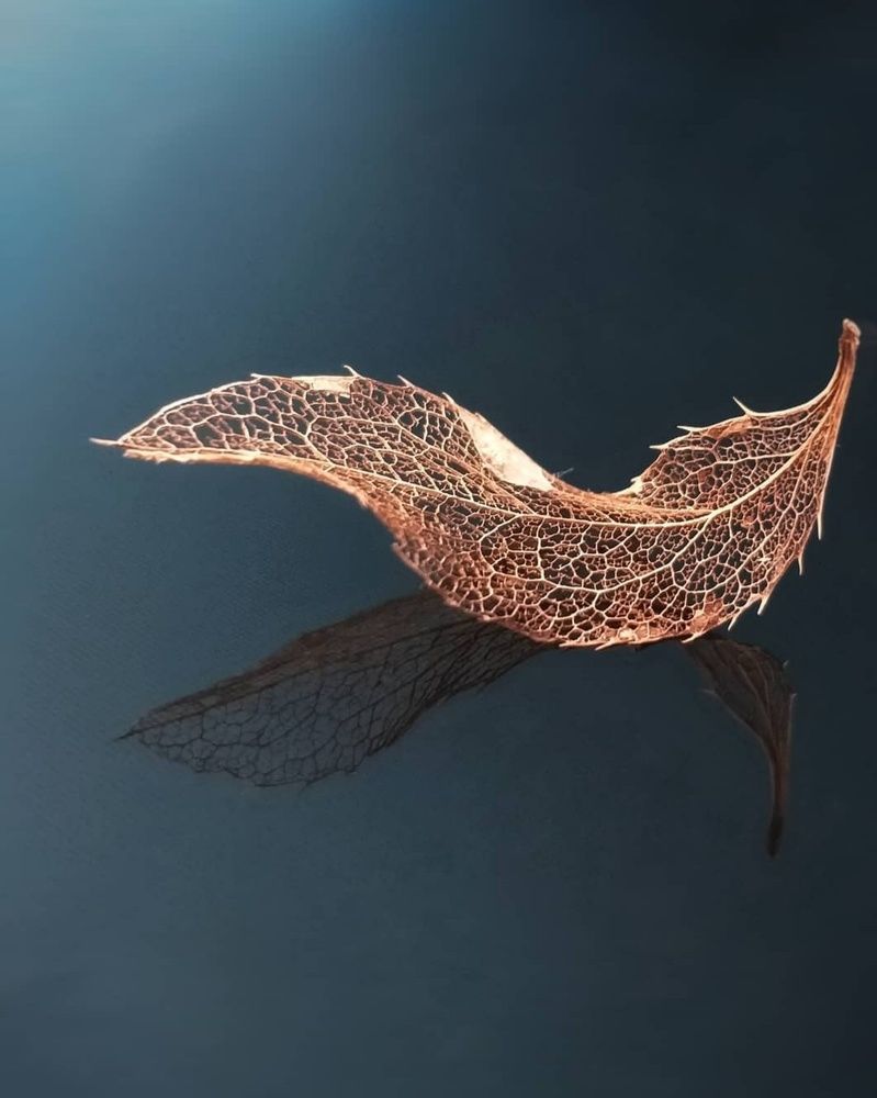 Photograph by Люда Яковлева