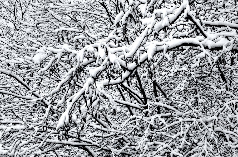 Photograph by Laima Kuriene