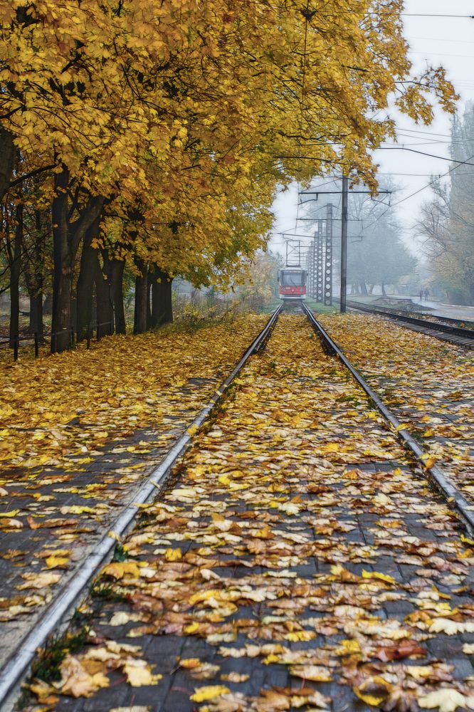 Photograph by Александр Стрельченко