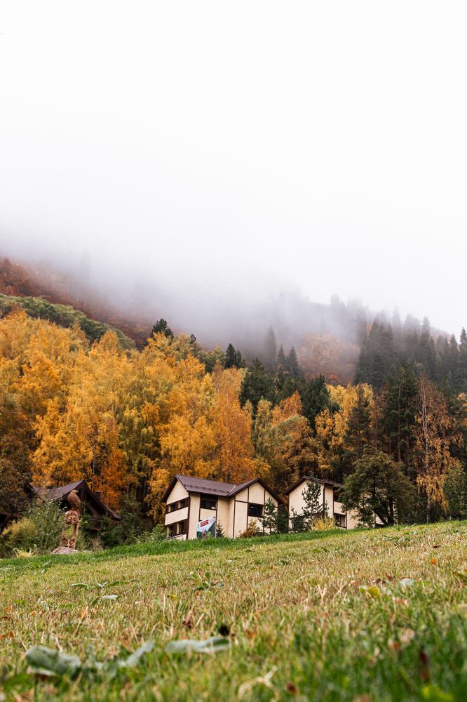 Photograph by Ермек Кожанбердинов