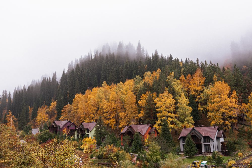 Photograph by Ермек Кожанбердинов