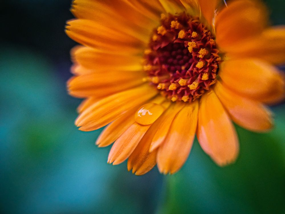 Photograph by Ахсарбек Абаев