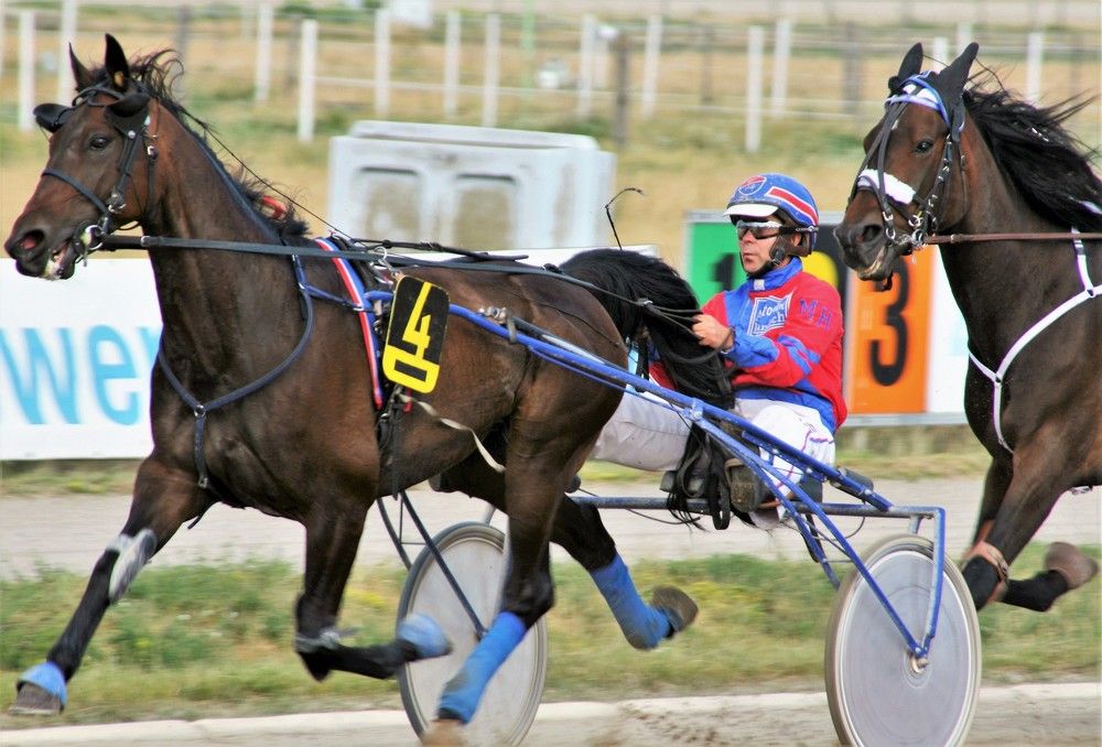 Скачки на ипподроме на Германо-Российском фестивале в Карлсхорсте - Берлин.