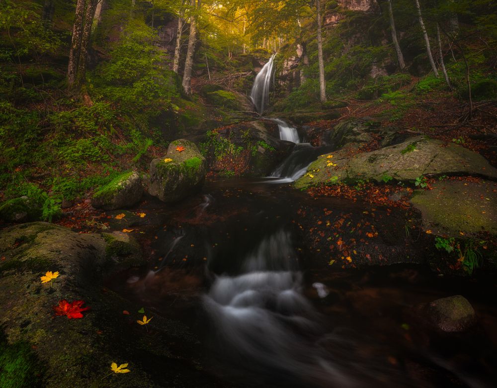 Photograph by Boyko Valchev