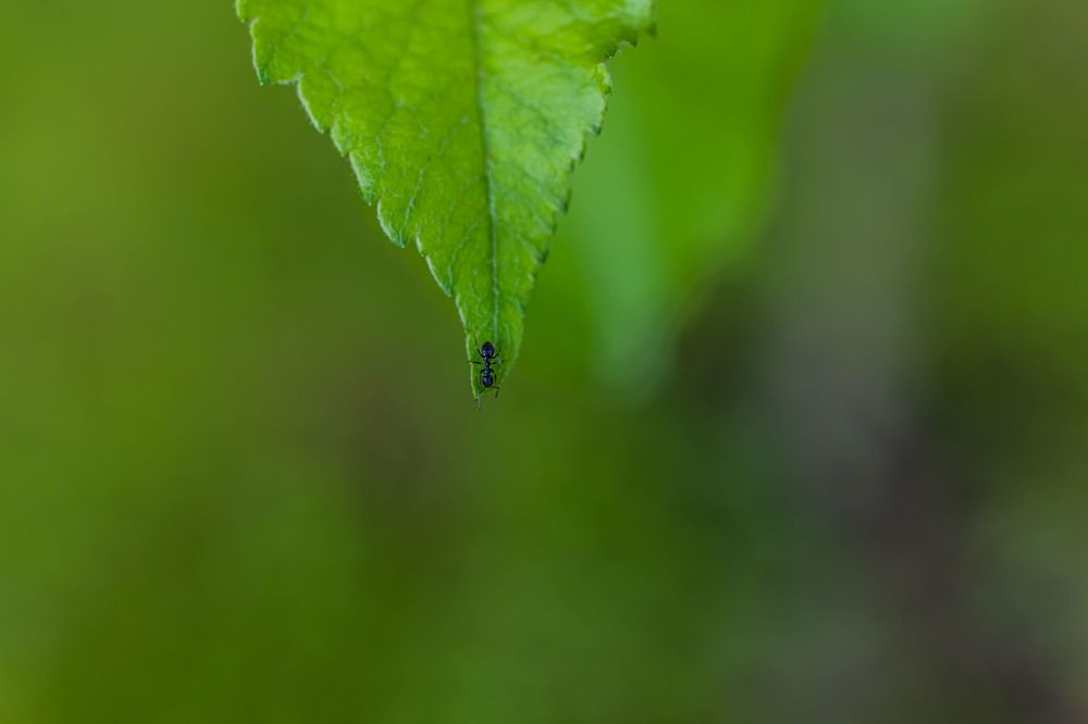 Photograph by Svetlana Degtyareva