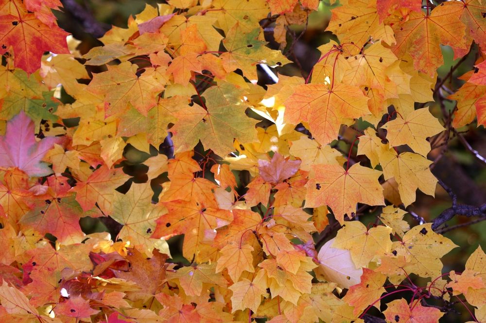 Photograph by Евгений Софронов