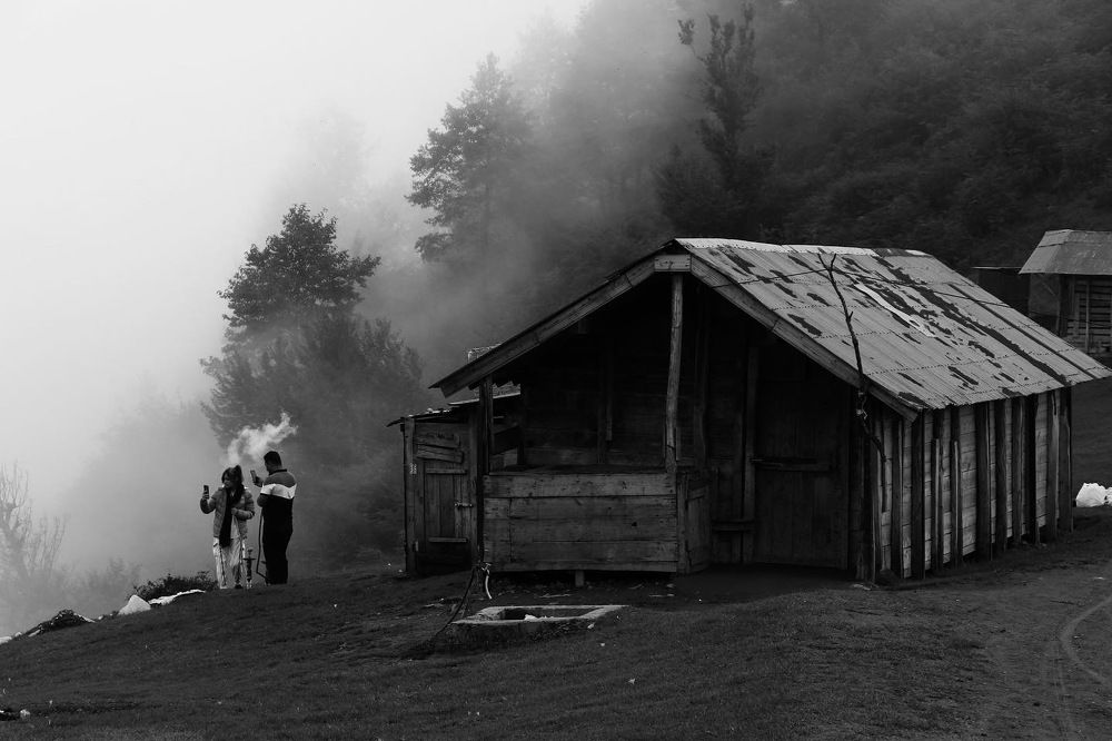 Photograph by samaneh jamali