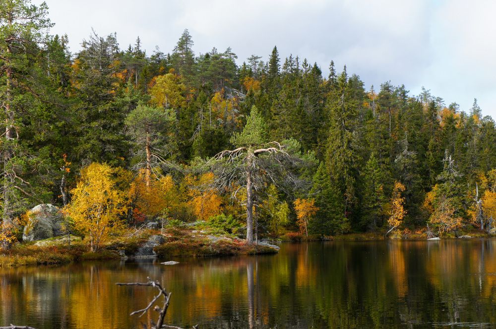 Фотография автора Екатерина Кожевникова