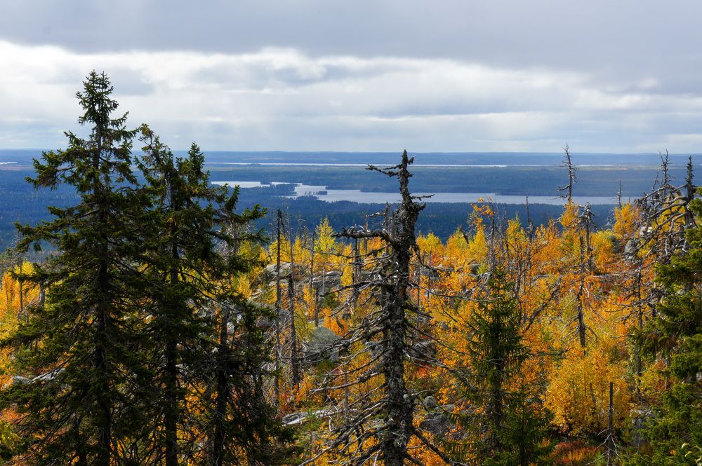 Фотография автора Екатерина Кожевникова