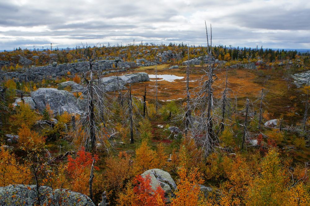Фотография автора Екатерина Кожевникова