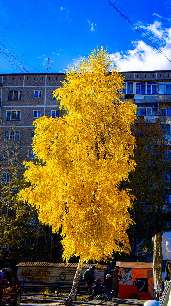 Photograph by Александр Вагнер