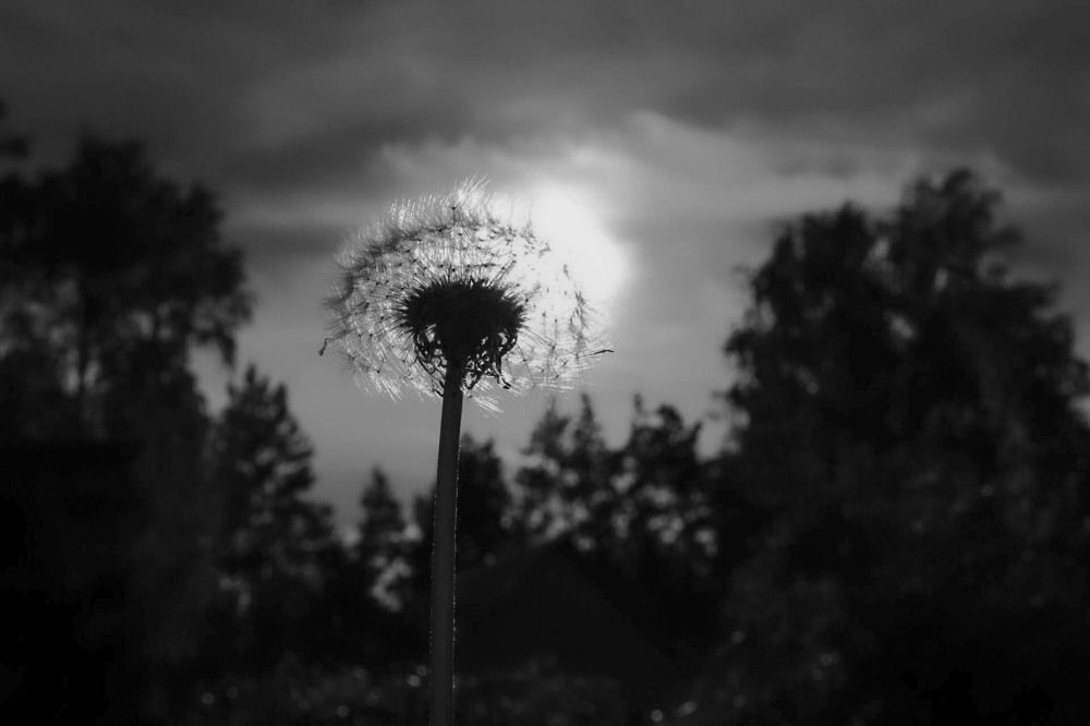 Photograph by Андрей Астафьев