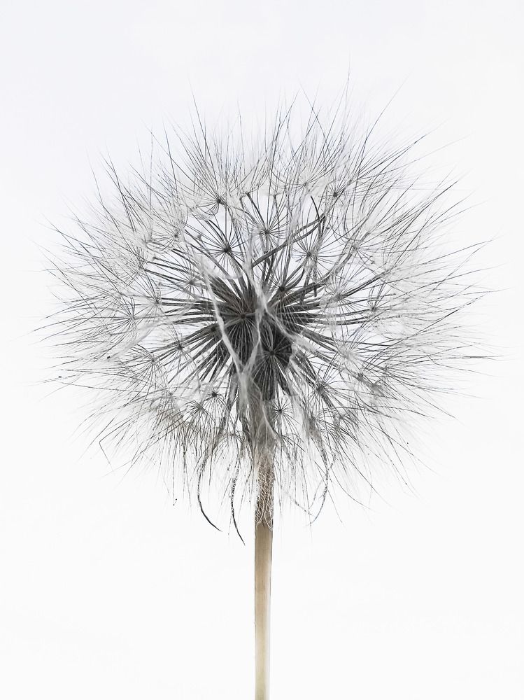 Photograph by Ирина Левакова