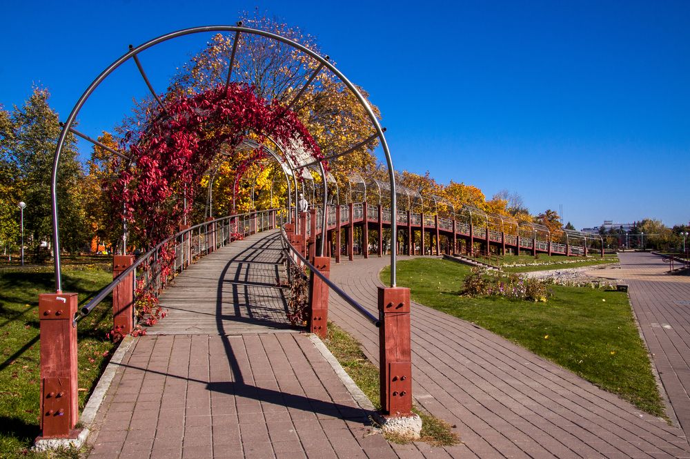 Мостик в осень