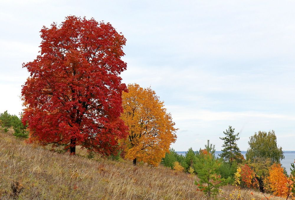 На берегу Волги...