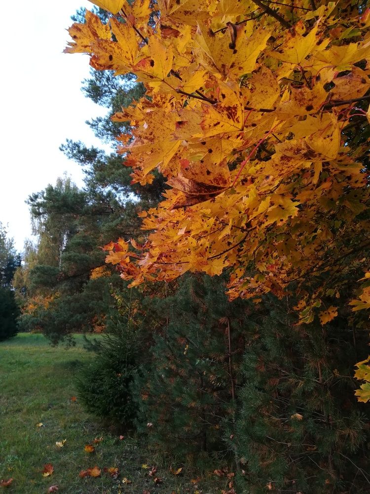 Photograph by Александр Морозов