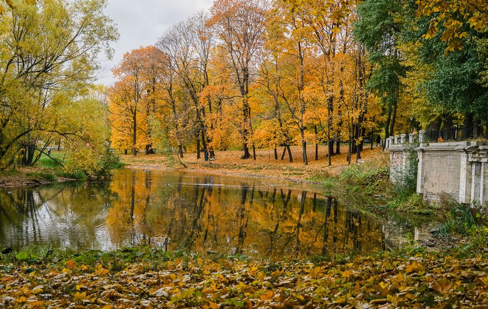 Photograph by Галина Бехметьева