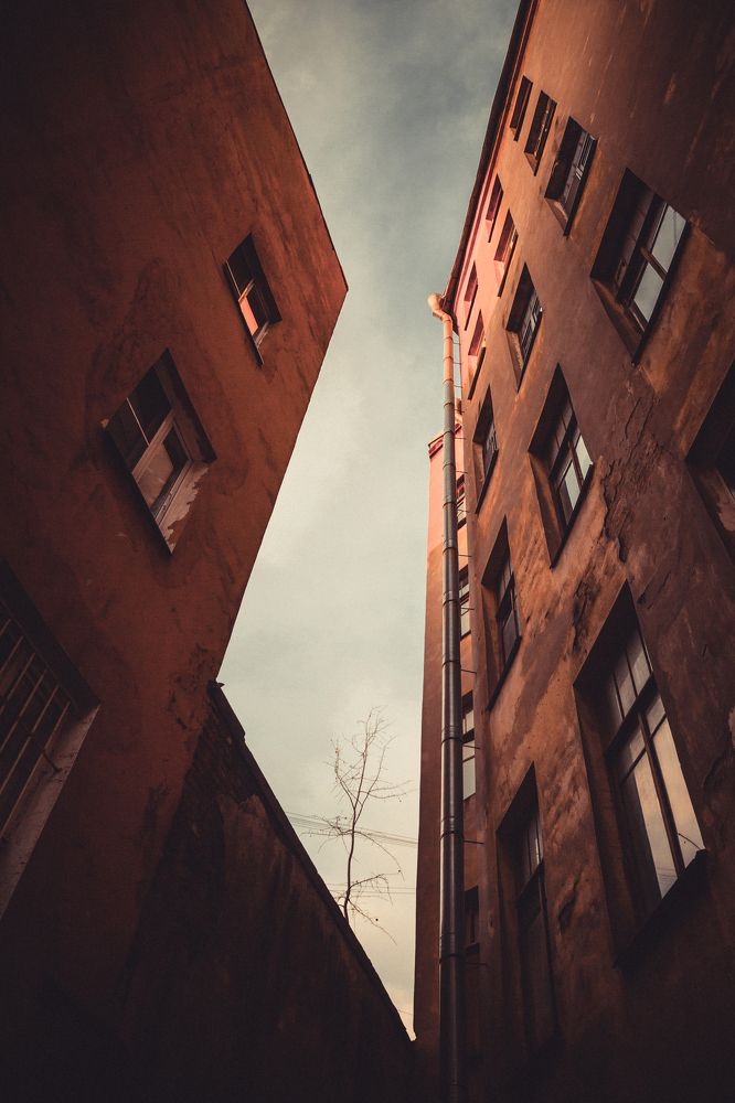 Фотография автора Мария Веселова