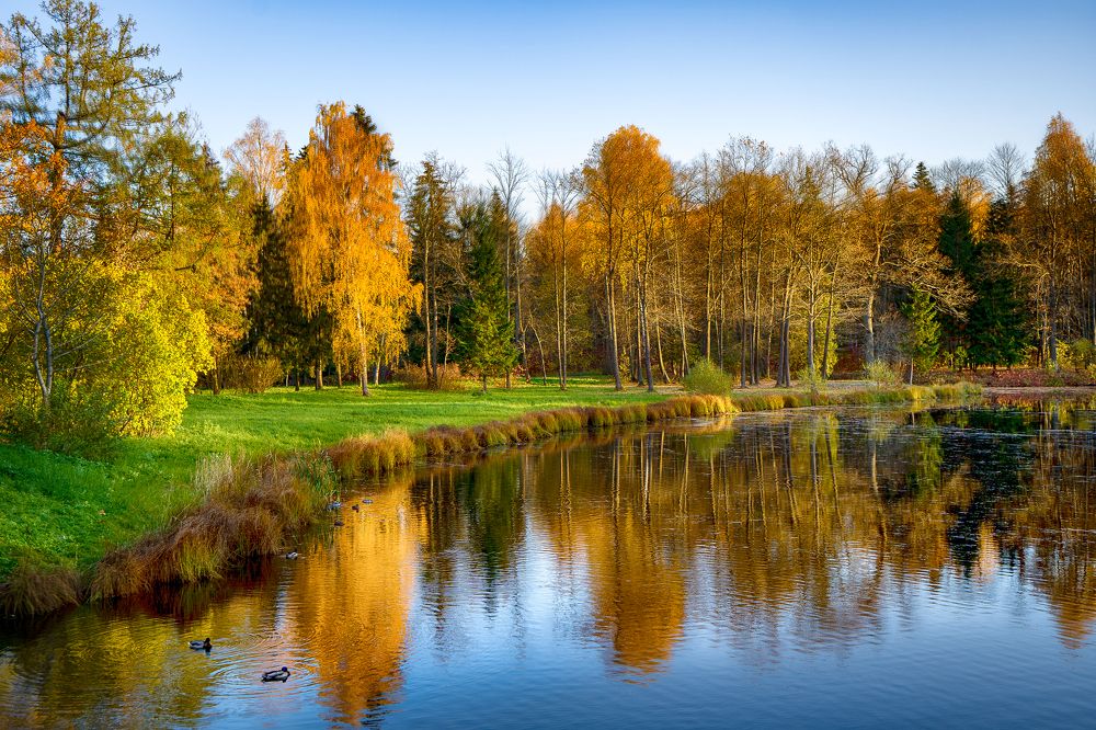 Photograph by Марина Вильдяева