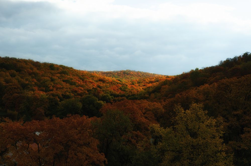 Photograph by Максим Киваев