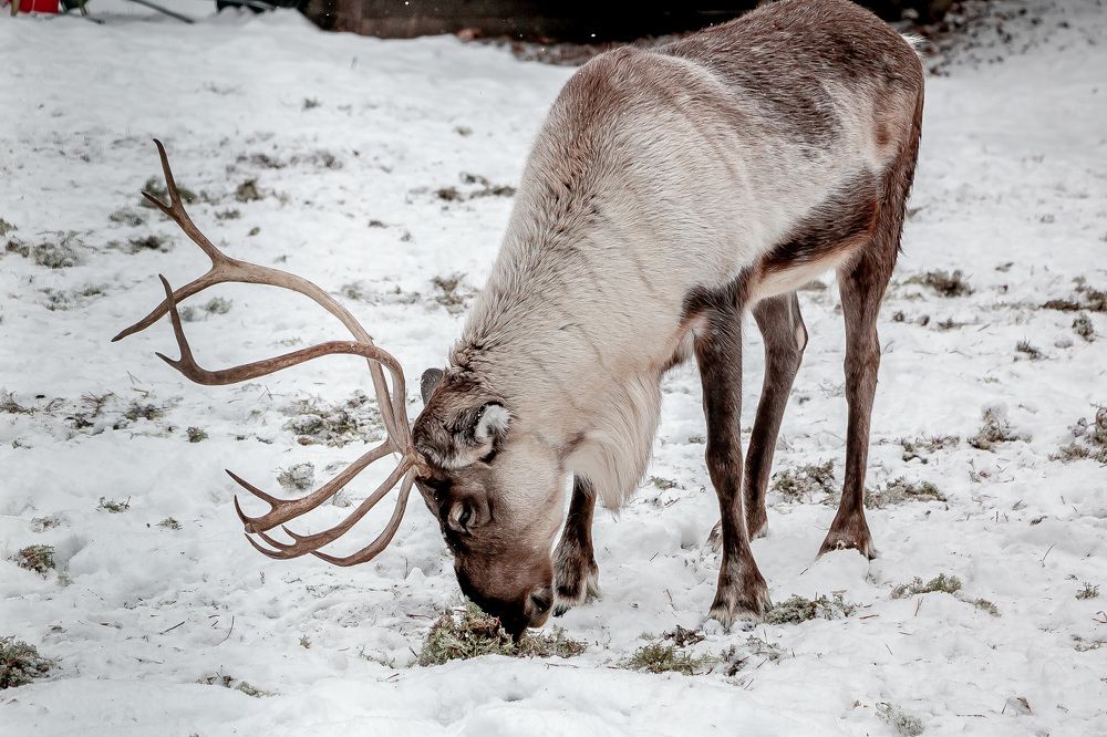 Photograph by Виталий