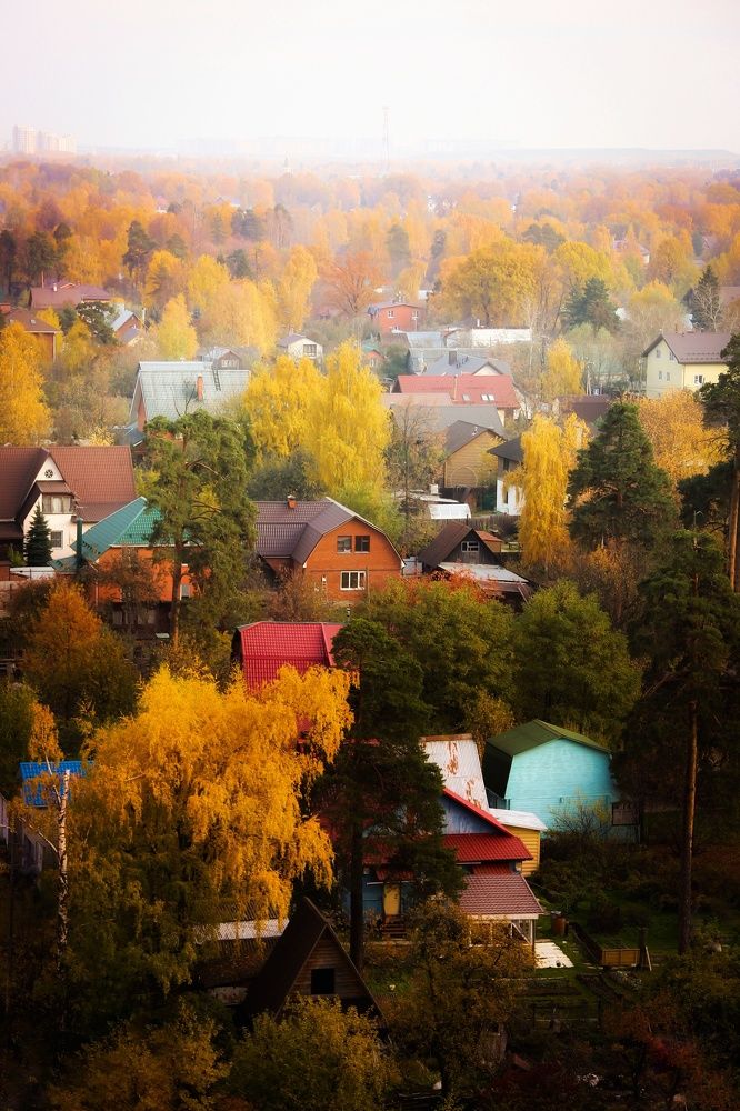 Золотой октябрь.