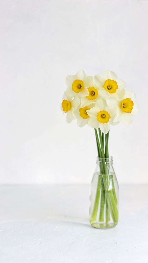 Photograph by Татьяна