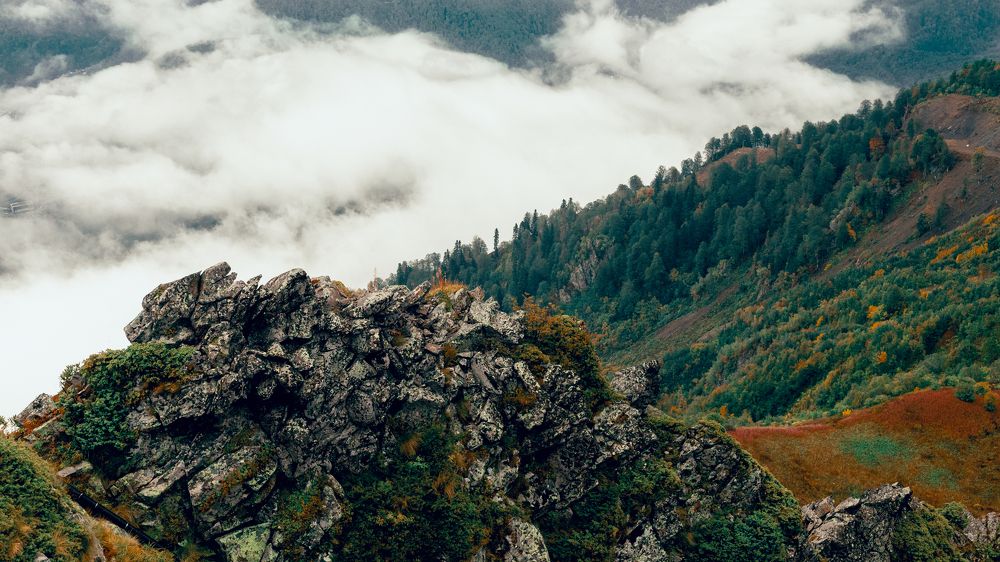 Photograph by Алексей Худяков