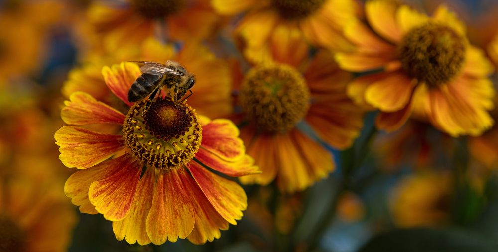 Последние дни лета